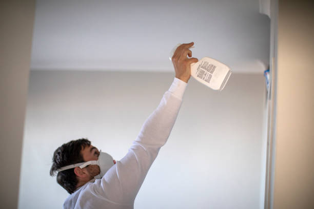 Best Commercial Mold Removal  in Mendenhall, MS