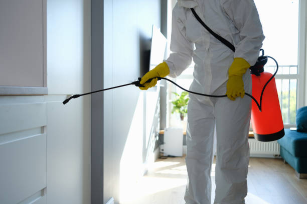 Best Home Mold Removal  in Mendenhall, MS
